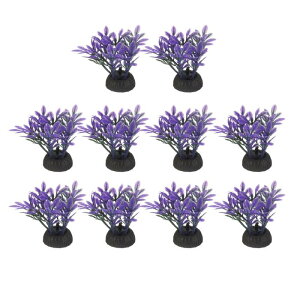 plHAA10ZbgApANZT[AAp[vitH[OXj