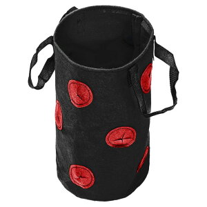 ͔|obO A͌tK Ԃ牺 tFg n A Rei ubNbh