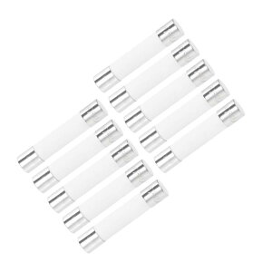 pq[Y 15A 250V 6x30mm ԗpJ[gbWq[Y 10