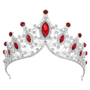 VOCOSTE  eBA NE vZX ԉ EFfBO p[eB[ RXv wAANZT[  p Vo[ bh