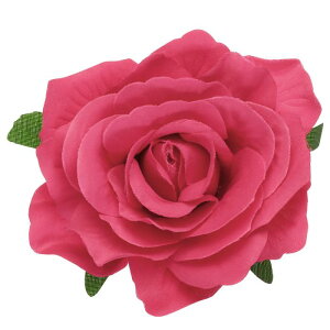 ỏԂ̃wANbv Ԃ̃wAs Ԃ̃u[` p wAANZT[ 10 cm [Ybh 1