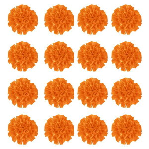 16̃{sIj[A2C`̃Yy sATe{t[sIj[AlHt@ ubNt[ADIYNtgANZT[ADEFfBOMtgfR[V