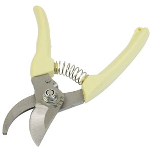 ͂ KXJbg J[{S vX`bN ItzCg Ap ԉc[