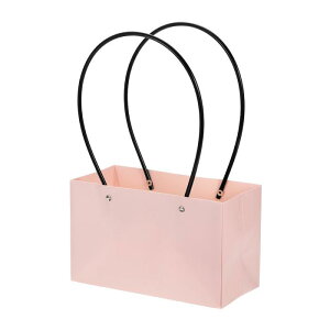 PATIKIL 11x22x13.5cm u[PbvobO MtgbvobO t[u[PpbP[WobO 5 p[eB[DӃobOp {bNX sN