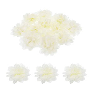 12̃VtHt[3"x[WlHNtgtFCNt[DIYt@ubNt[wbh Ntgߗ ƃwbhoht[ EFfBOz[o[Xf[p[eB[