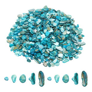500g �ӂ��ꂽ�L�k �s�K���ȓV�R���U�C�N �V�[�V�F���t���O�����g �z�[���f�R���[�V���� �A�[�g�N���t�g DIY�v���W�F�N�g �X�J�C�u���[