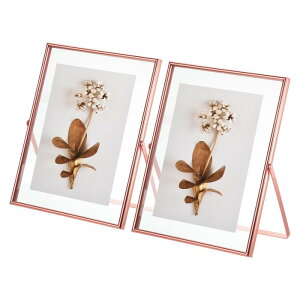 z[tHgt [ NVbNRNV VvȃfUC tHgt [ 𑜓xKXt Ǌ|уe[ugbvfBXvCp 18x23 cm [Y