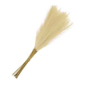 tFCNXXL rO[ p[eB[  ԕr ̑p 55 cm x[W 20