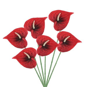 PATIKIL 13" lHAXE[̉ 6Zbg ivԃt[AWgu[P z[fR[V EFfBO Ղ p[eB[p _[Nbh