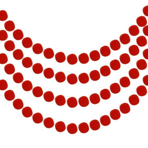 tFg{[K[h 24{[ ||K[hnMO{[ p[eB[oi[̑ NX}Xap[eB[̑p bh 2.5 M 4