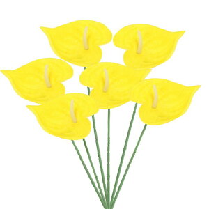 PATIKIL 13" lHAXE[̉ 6Zbg ivԃt[AWgu[P z[fR[V EFfBO Ղ p[eB[p CG[