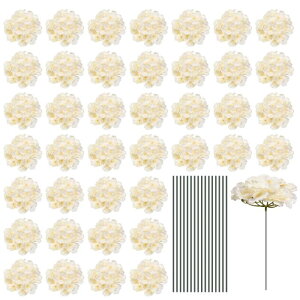 VNAWTC ԃwbh Xet tAWTCt[Y Z^[s[X p[eB[̑p 30Zbg x[W