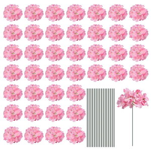 VNAWTC ԃwbh Xet tAWTCt[Y Z^[s[X p[eB[̑p 30Zbg sN