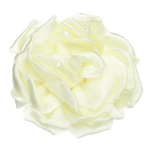 [Yt[u[`ƃsA4.3C`̃t[y sApEFfBOp[eB[_XhXX[cߗރANZT[΃MtgiX^C1x[Wj