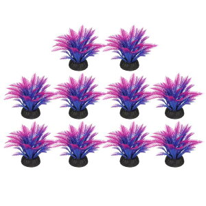 plHAA10̐AANZT[AA΁iRR̗tj