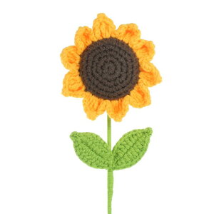 PATIKIL NVFt[  ҂ݕЂ܂lHDtFCNt[ o^CMtg z[EFfBOp[eB[ItBXe[ufR[Vp CG[