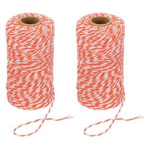 PATIKIL 2mm x 109[hȂ̃ub`[cC[A2Ȃ̃x[J[YcC[XgO[vR[hMtgA[gNtgp[eB[K[fjOAIWzCg