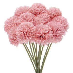 M METERXITY 12pbN lHLN{[ 11" tFCNAWTCVNu[P A^b` tFCNt[ ƒ//NX}X/p[eB[/K[fItBXp[_[NsN]