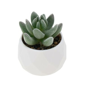 CAPASTEC tFCNO[ CeAO[ A lH bsv  ~j A fR[V 킢  fXN oX[ Lb` Type 10