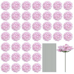 lHVNAWTCt[ lHIȃt[Ywbh Xet tAWTCt[ ̃Z^[s[X p[eB[̑p CgsN 30Zbg