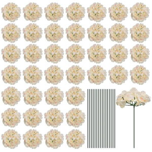 lHVNAWTCt[ lHIȃt[Ywbh Xet tAWTCt[ ̃Z^[s[X p[eB[̑p Vp 64Zbg