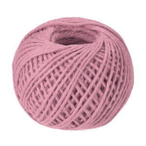 ���|���� �W���[�g���[�v�R �H�|�i �M�t�g � ���| �������̑����p 100M 2.5mm �s���N