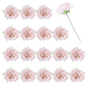 25̉Ȏ tFCN̉Ỏ lHVN̉Ԃ̓ A^b`̋Ǔs ƒpItBX̌̉ԑp[eB[̍Ղ̑p \tgsN