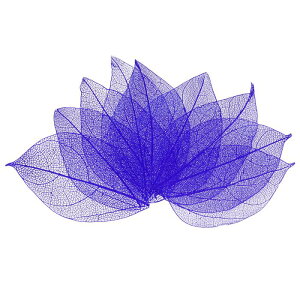 M METERXITY 100pbÑXPg[tAVRS̖؂̊tAW/DIYNtgJ[h/XNbvubN/EFfBOpAȗt̑[4-6cmAp[v]