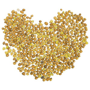  KX KXXg[  ԕrtB[كK[fp CF[3-6mm 250g