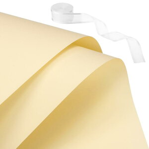 PATIKIL 20 ԕ 22.8"x22.8" t[u[PNtgpbP[WOy[p[ {t  Mtgp N[CG[