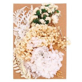 PATIKIL ナチュラルドライフラワー 複数のカラフル 本物のドライ押し花植物 クラフト樹脂 ソープ キャンドル スクラップブッキング用 ホワイトシリーズ
