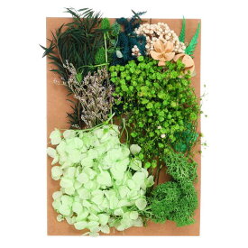 PATIKIL ナチュラルドライフラワー 複数のカラフル 本物のドライ押し花植物 クラフト樹脂 ソープ キャンドル スクラップブッキング用 緑シリーズ