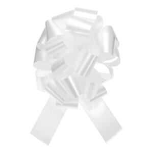 �M�t�g���b�s���O���{�����{�� 40 cm ����v���{�E ������ �� �o�X�P�b�g �v���[���g �N���X�}�X �r�b�O�M�t�g ���{���p �z���C�g