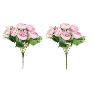 PATIKIL 6} lHVNOAWTC̉ 2 tFCNt[ tFCNVNN fR[Vu[P  z[̑p sN