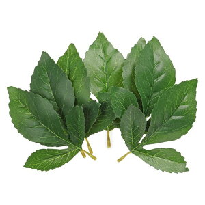 PATIKIL 14 x 12 cm lHVN_A̗t 80 lHΉtFCN[t