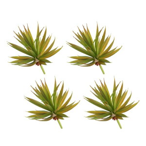 lHA tFCN\[hvg 傫ȐlHA AȂ {̂悤ȎG DIY z[ EFfBO K[f ItB X O ԏp 19 cm Cg 4