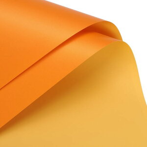 ���ʃJ���[ �t�����[��� �t�����[���b�s���O�y�[�p�[ �C�G���[ 58cm x 58cm �h�� �t�����[�V���b�v �ԑ��p�i DIY�H�|�i �M�t�g�{�b�N�X� 20����