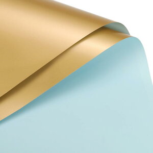 ���ʃJ���[ �t�����[��� �t�����[���b�s���O�y�[�p�[ ���C�g�u���[+�S�[���h 58cm x 58cm �h�� �t�����[�V���b�v �ԑ��p�i DIY�H�|�i �M�t�g�{�b�N�X� 10����