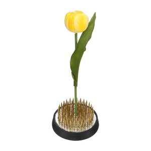 M METERXITY ԃt[tbO1.6"Eh^JԃsԃtbOz_[ԃAW[Œc[Wo[x[XԃAWgԕr/A/z[fR[V[1.1cms]