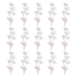 PATIKIL I[LhtFCNt[ 15̐lHԃAWgwAswbhhX[X Lhԕrz[EFfBOZ^[s[X VFsN