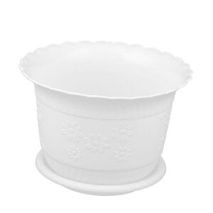 vX`bNv^[ gCtAؔ ~jvX`bNt[ԃ|bg z_[ 