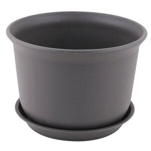  t[x[X Ԋ Aؔ oRj[ vX`bN rE ԐA gC z_[ e _[NO[