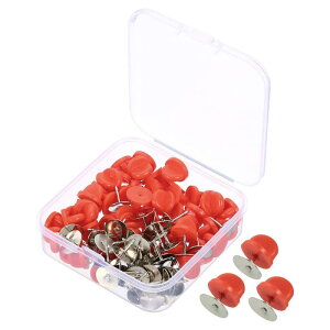 PATIKIL o[sobN 21/50Zbg ys obLOu[`z_[ pANZT[ ^C^bNt obWXqlN^Cp bh