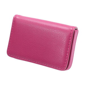 CAPASTEC h Y hP[X e J[hP[X oȒP  Vv AEj Mtg jp 1 [Y