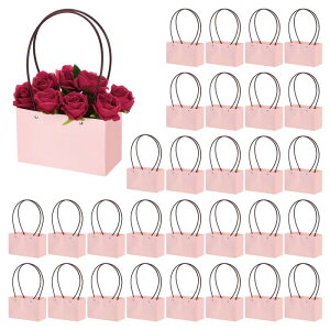 PATIKIL ԑ{bNX t[{bNX ԃpbLO{bNX 30 y[p[u[P nht `g[gobO ԉp CgsN