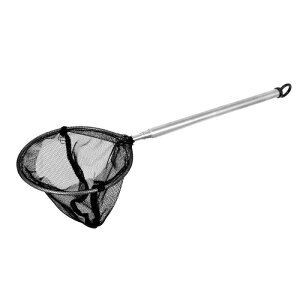 ً ^  LkObv gnh lbg | ނlbg |茊 XeX|