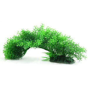 lH pvg lH  ANAi Ő Ɠ