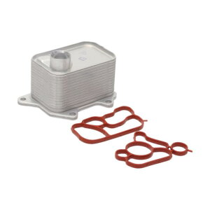 ACROPIX Volkswagen�ɑΉ� �A�G�e�I��2.0T 19-24�p �G���W���I�C���N�[���[ �g�����X�~�b�V�����I�C���N�[���[ O�����O�V�[���t�� �ԍ��F06L117021C �A���~�j�E������ �V���o�[�g�[��