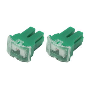 PAL�q���[�Y PAL�J�[�g���b�W�q���[�Y ���X�[�q DC 32V 40A �O���[�� �ƌ` 2����