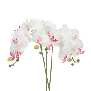 PATIKIL   CeA Ӓ ԑ 80cm 3{ A^b` tFCNt[  ԕr z[  LO p zCgbh